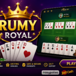 Rumy Royal Game withdrawal screen with payment options